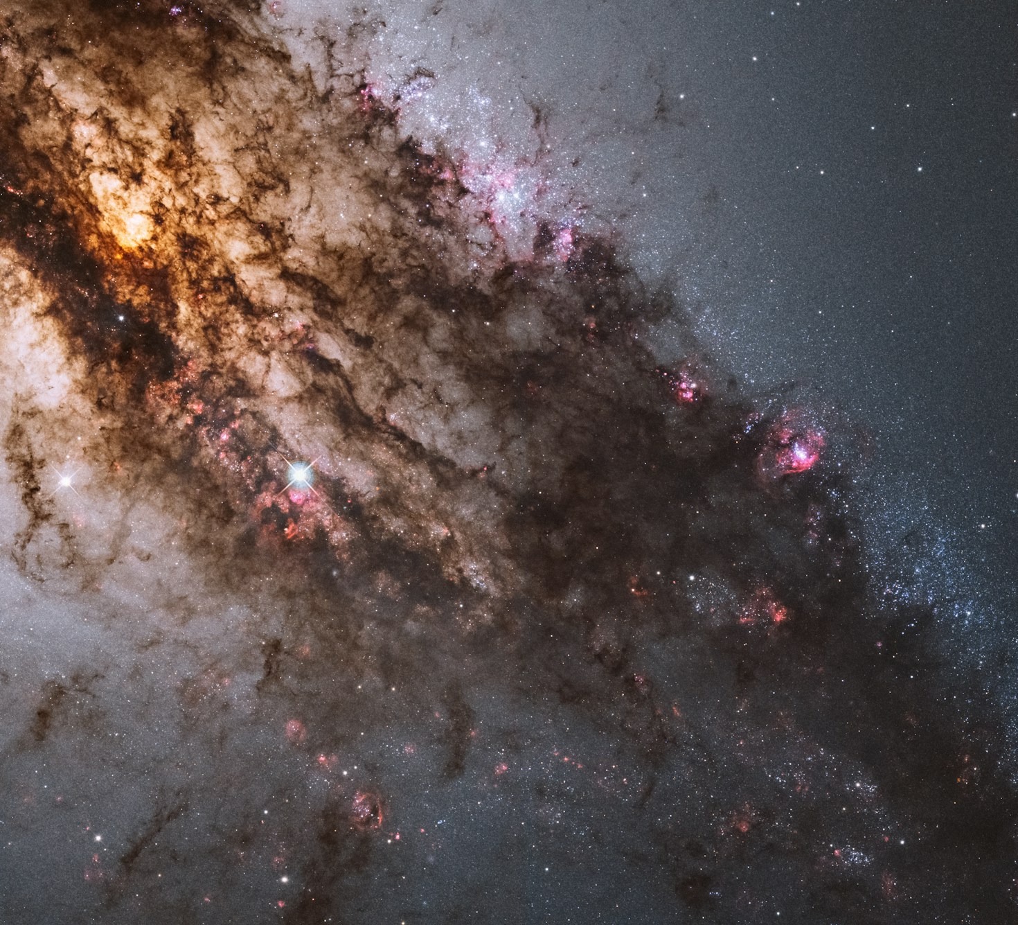 Why Cosmic Design Elevates Your Brand Presence